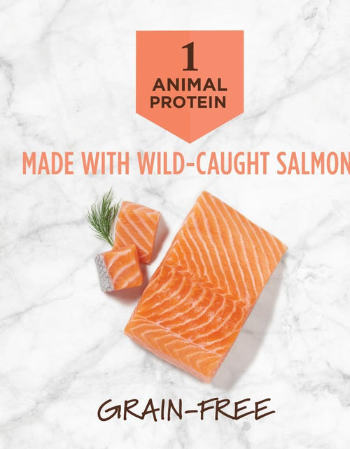 Load image into Gallery viewer, Limited Ingredient Diet Grain Free Recipe with Real Salmon Natural Dry Dog Food, 20 Lb. Bag
