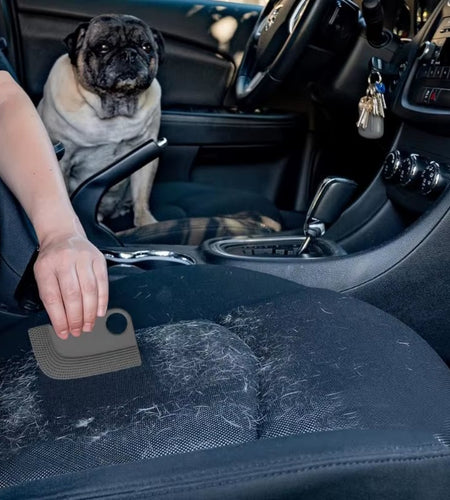FurSweep Pro – Car Interior Hair Removal Brush & Cleaning Scraper Tool - My Store