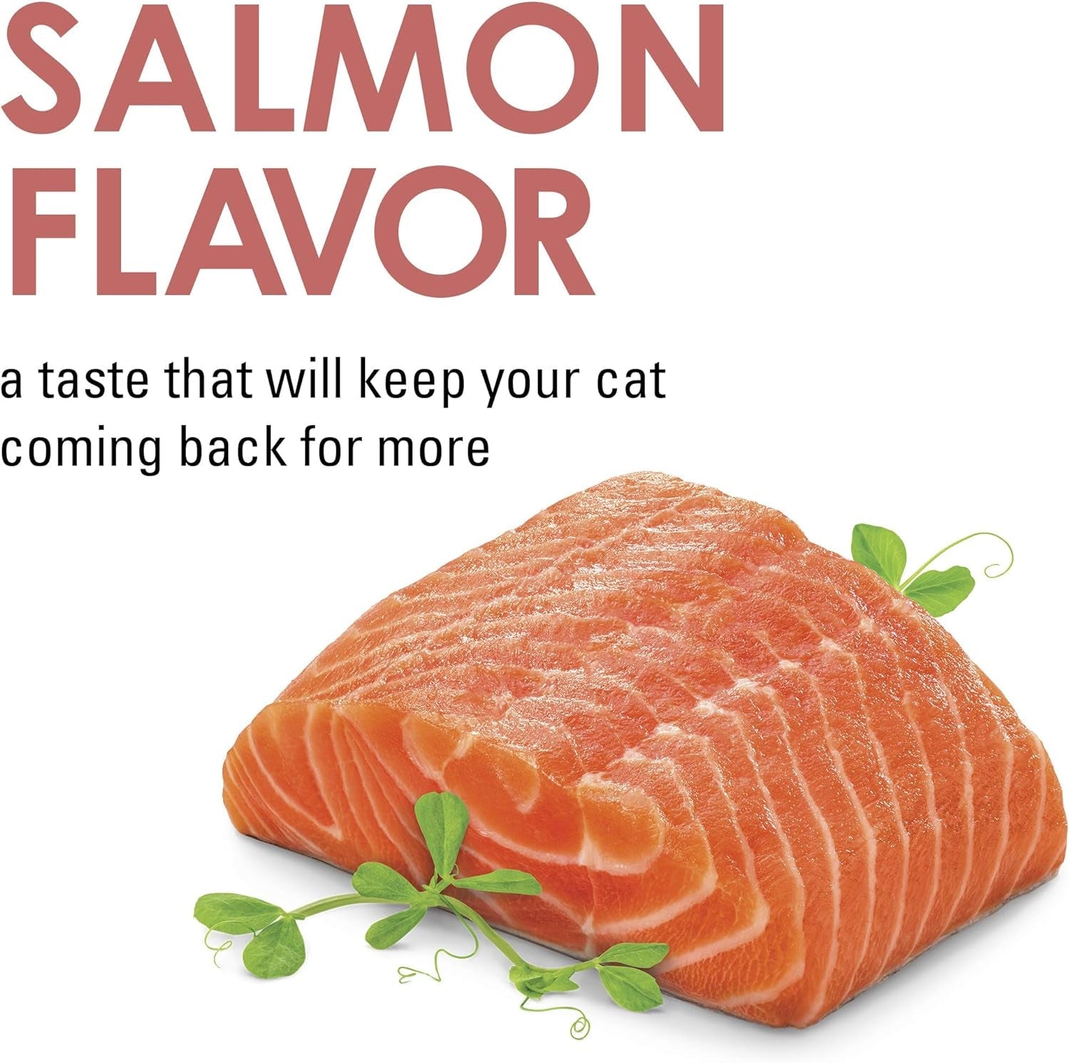 Purina Limited Ingredient Cat Treats, Savory Cravings Salmon Flavor - 9 Oz. Box - My Store