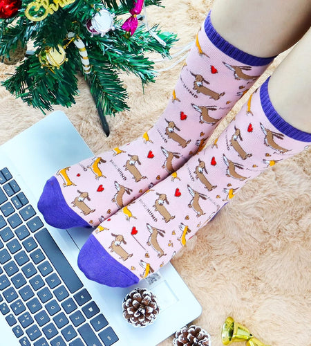 Women'S Cute Socks Dachshund Chicken Bee Hedgehog Panda Gifts for Women - My Store